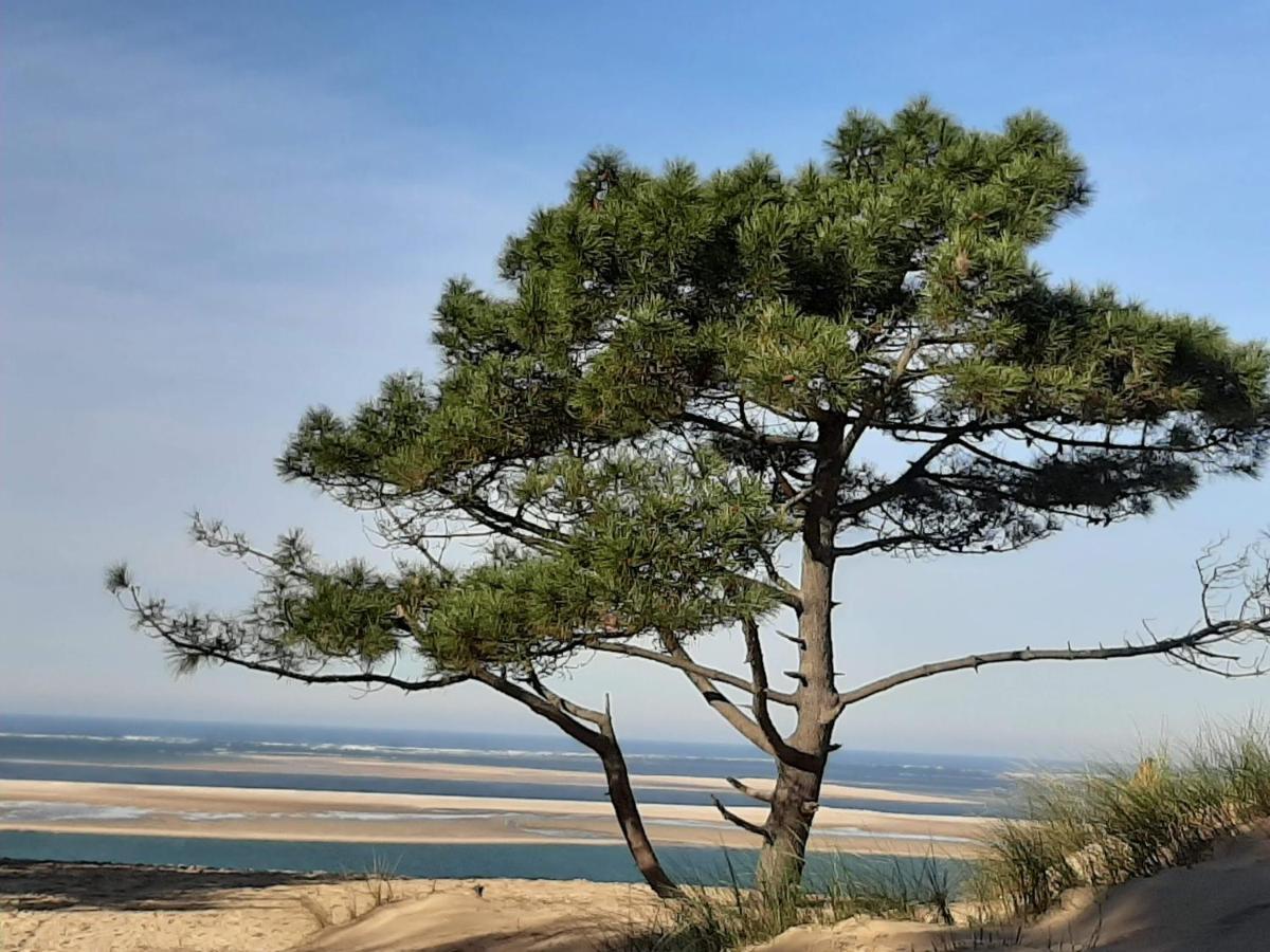Maison d’hôte neuve : T2 pour 4 voyageurs Mios Extérieur photo